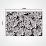 FOREST BASES (Round) Expansion