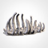 Gigantic Bones (STL FILES)