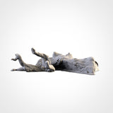 DEAD TREES (STL FILES)